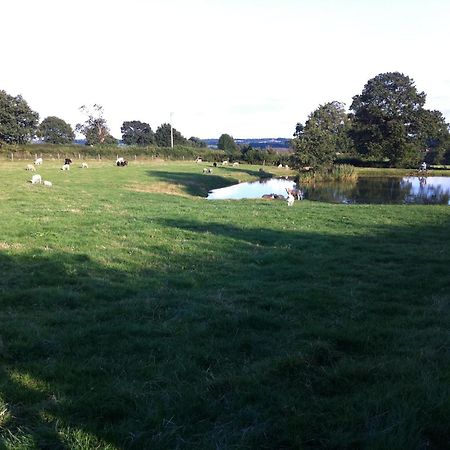 Bed and Breakfast Crich Lane Farm Alfreton Esterno foto