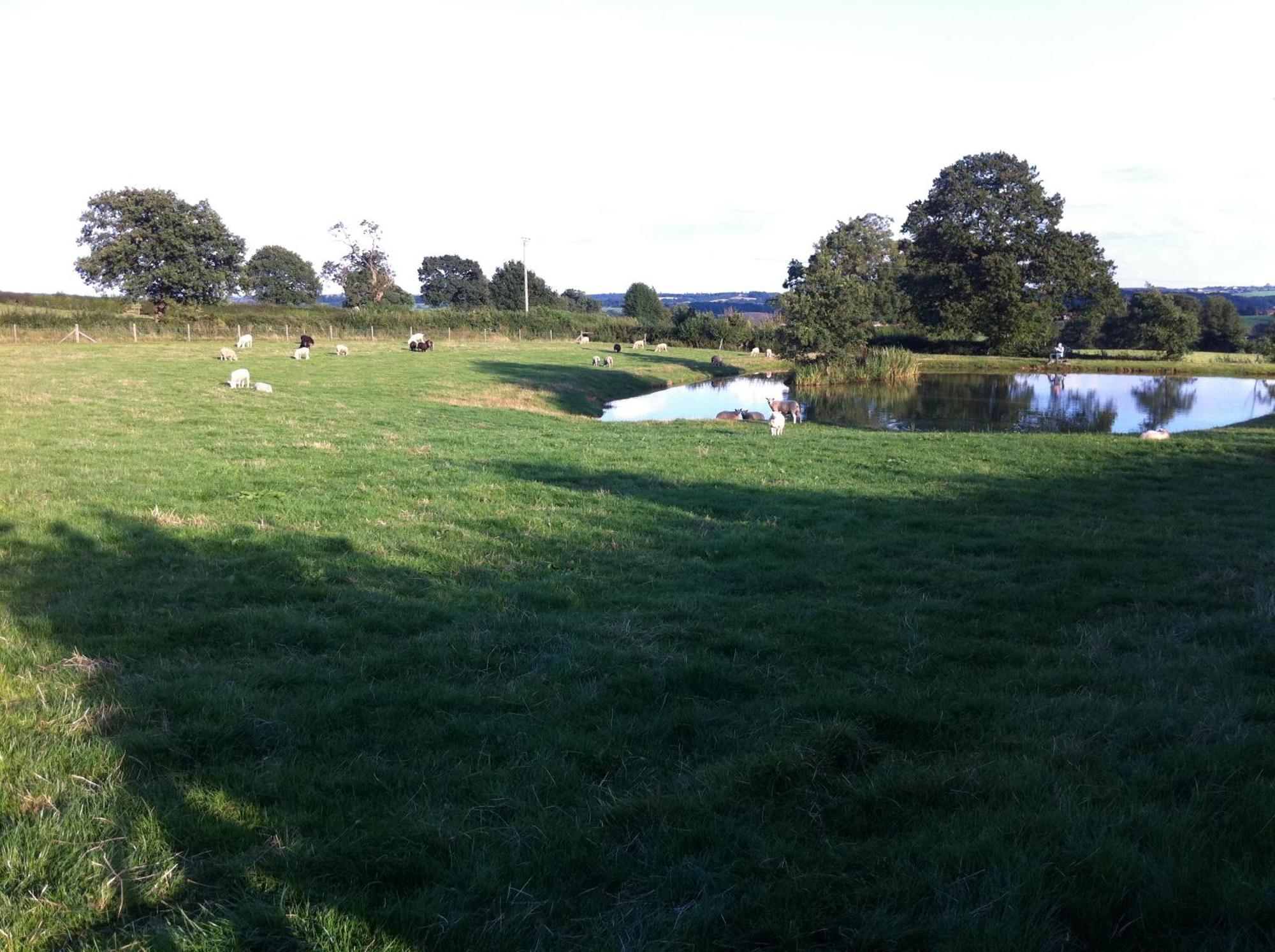 Bed and Breakfast Crich Lane Farm Alfreton Esterno foto